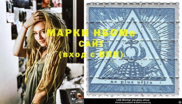 шишки Балахна
