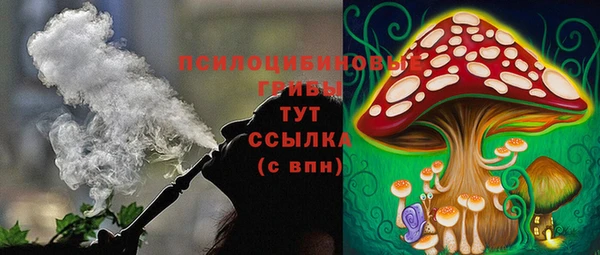 бутират Баксан
