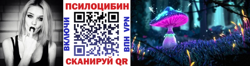 kraken как войти  Кувандык  Галлюциногенные грибы мухоморы  где можно купить наркотик 